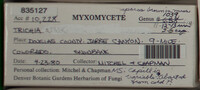 Image Associated With the Occurence